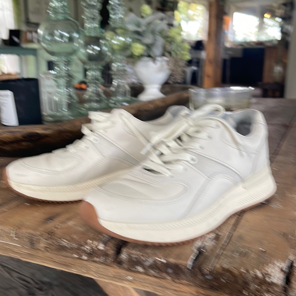Everlane sneaker